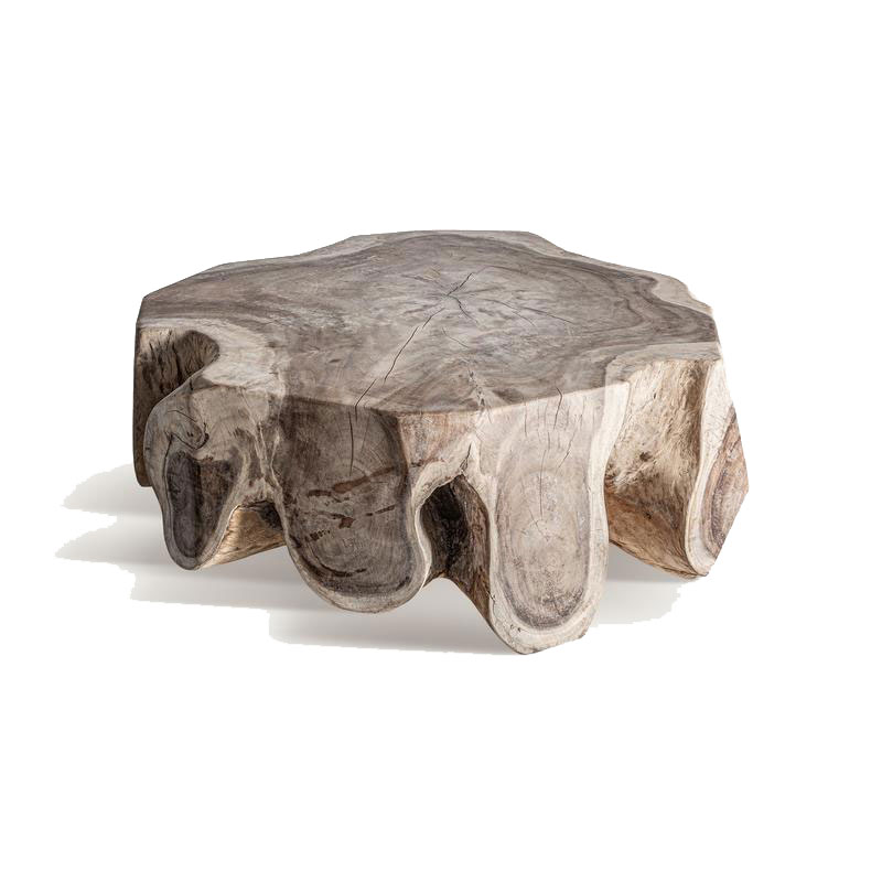 Mesa de Centro Orgánica en Madera de Suar Maciza Tuxford