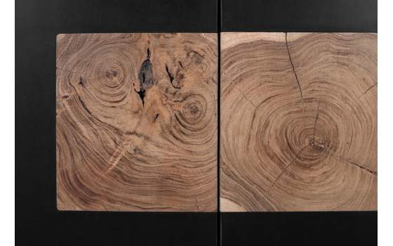 Aparador 3 Puertas Diseño Contemporaneo Negro Madera Adaniell