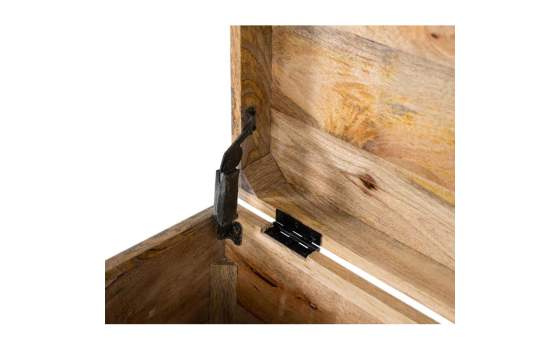 Arcon Madera Mango Pintado a Mano Estilo Oriental Anthin