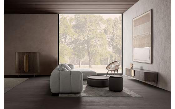 Armario Salon Moderno 2 Puertas Roble y Acero oro Treignac