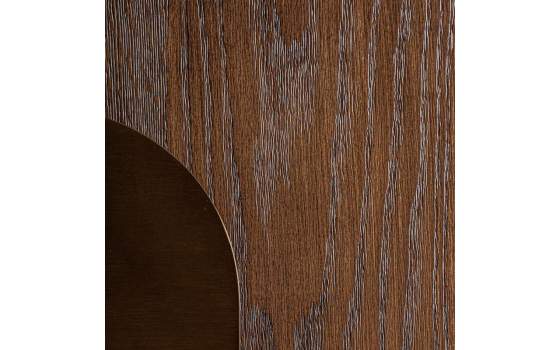 Armario Salon Moderno 2 Puertas Roble y Acero oro Treignac