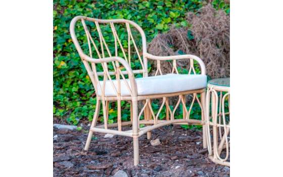 Butaca Moderna Rattan Natural Cojin Serie Aticos
