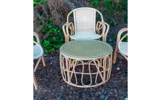 Butaca Moderna Rattan Natural Cojin Serie Aticos