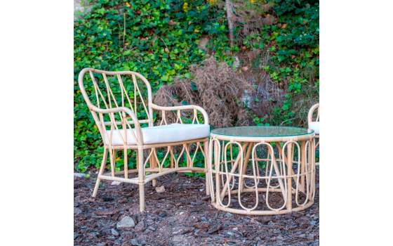 Butaca Moderna Rattan Natural Cojin Serie Aticos