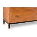 Comoda 5 Cajones y Estante Estilo Industrial Serie Madhu