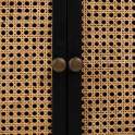Comoda Negra Rustica 3 Cajones 2 Puertas Serie Alika