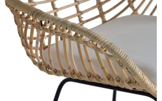 Conjunto 2 Sillones Rattan Forja Cojin Serie Rattanwund