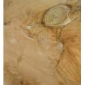 Consola Recibidor Rustica Madera y Raiz de Teca - Serie Arceda