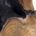 Consola Recibidor Rustica Madera y Raiz Teca Negra - Arceda