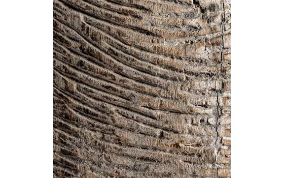 Escultura con Pie Tallada Estilo Etnico Madera Mango Akataon