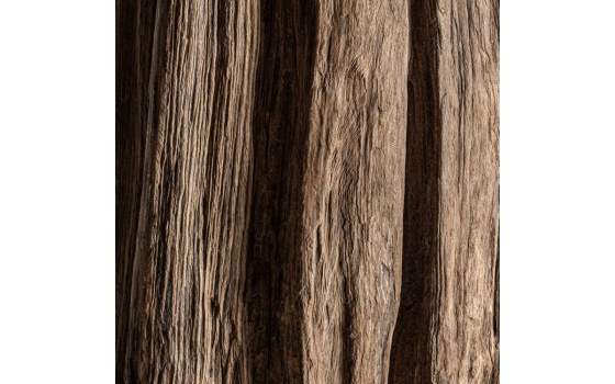 Escultura Madera Rustica Abstracta Cabeza Metal Abstra Escultura Madera Rustica Abstracta Cabeza Metal Abstra