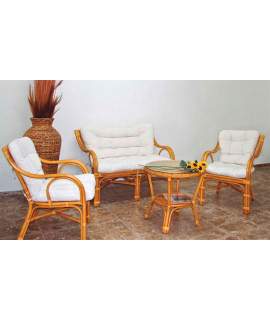 Juego Sofa Mesa Sillones Rattan Brabar