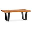 Mesa Centro de 120 X 60 Estilo Industrial Actual Serie Madhu