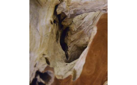 Mesa Centro Madera Raices de Teca Natural Serie Arestar Mesa Centro Madera Raices de Teca Natural Serie Arestar