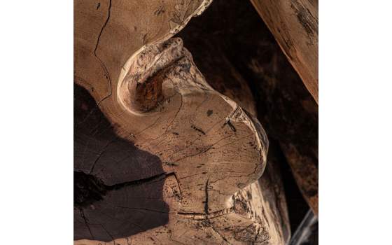 Mesa Centro Pequeña Redonda Tronco de Madera Dharm