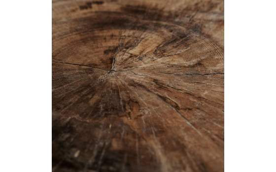 Mesa Centro Redonda Tronco de Suar Serie Tuxford