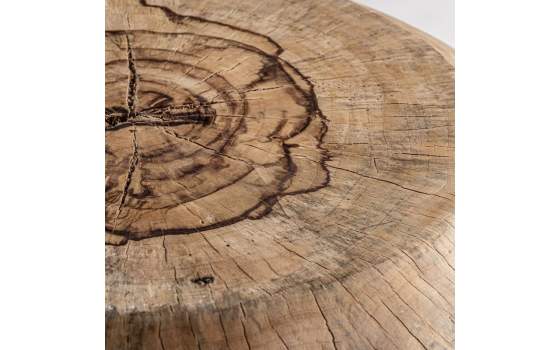 Mesa Centro Redonda Tronco Madera Rustica Dharm