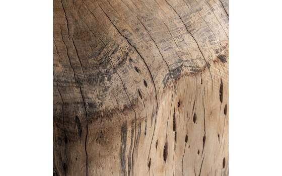 Mesa Centro Redonda Tronco Madera Rustica Dharm