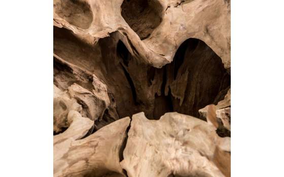 Mesa Centro Rustica Raices de Teca y Cristal Serie Aeddon