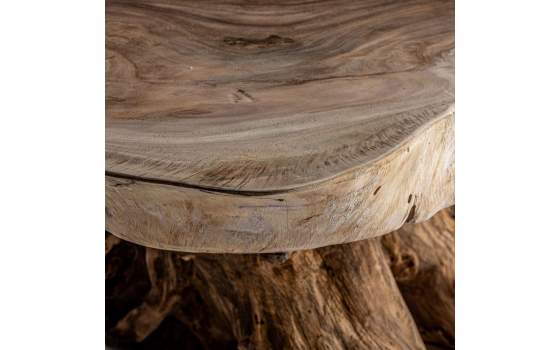 Mesa Centro Rustica Raices y Tronco de Suar Serie Aeddon