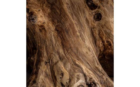 Mesa Centro Rustica Raices y Tronco de Suar Serie Aeddon