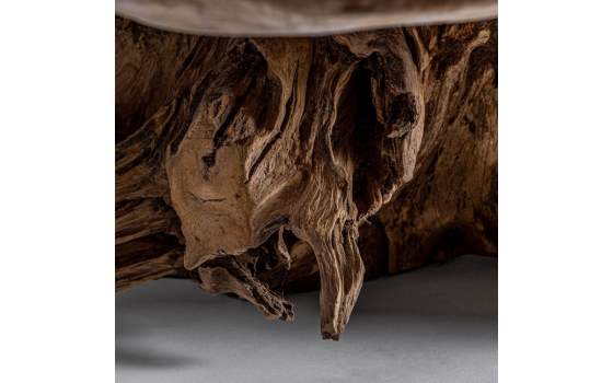 Mesa Centro Rustica Raices y Tronco de Suar Serie Aeddon