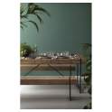 Mesa Comedor Rustica Industrial Serie Absuara
