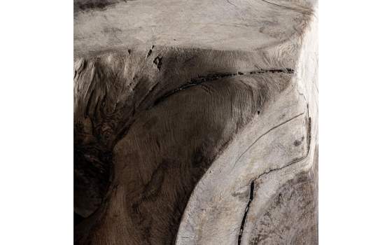 Mesa de Centro Orgánica en Madera de Suar Maciza Tuxford