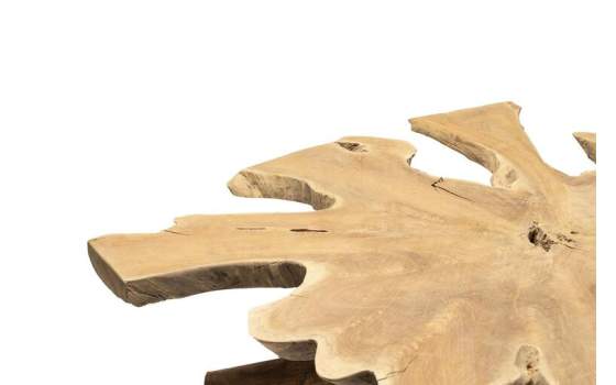 Mesa de Centro Raiz de Teca Grande Rustica Serie Awiot
