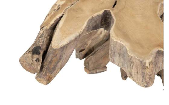 Mesa de Centro Raiz de Teca Grande Rustica Serie Awiot