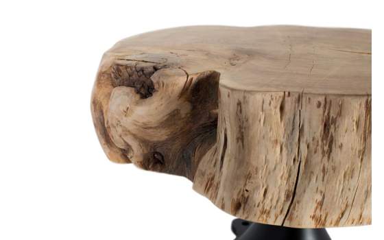 Mesa de Centro Rustica Tronco Natural y Forja Alcobia