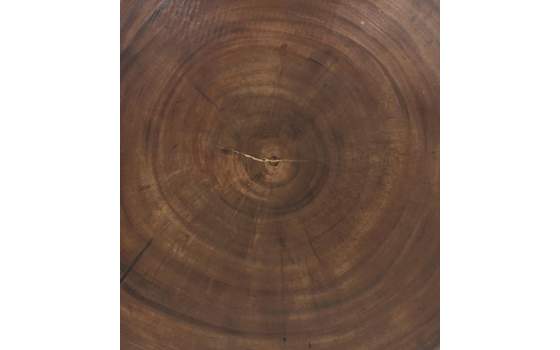 Mesa Redonda Tronco Madera Suar Natural Serie Audoyn