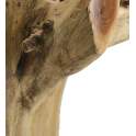 Mesa Tronco Madera Raices de Teca 80 cm Serie Arestar