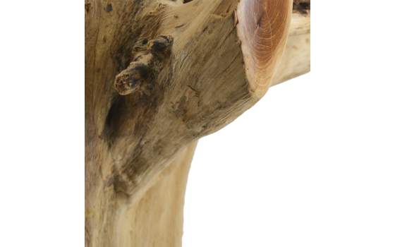 Mesa Tronco Madera Raices de Teca 80 cm Serie Arestar