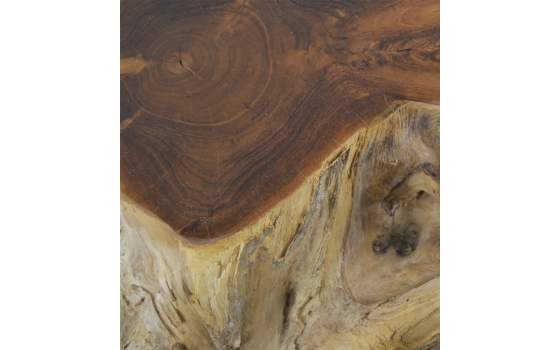 Mesa Tronco Madera Raices de Teca 80 cm Serie Arestar