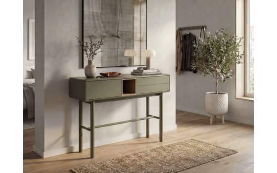 Recibidor 3 Cajones y Hueco Estante Verde Serie Mollaris