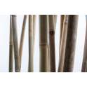 Separador Cañas de Bambu Curvadas Natural Serie Belbis