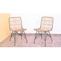 Silla Salon o Jardin Actual Forja Rattan Serie Anisas