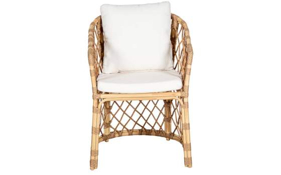Sillon Jardin Aluminio y Ratan Sintetico con Cojines - Appio