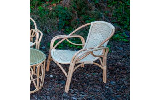 Sillon Moderno Rattan y Medula Natural Serie Aticos