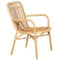 Sillon Terraza Jardin Aluminio y Ratan Sintetico - Serie Appio