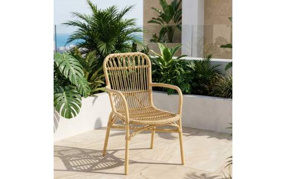 Sillon Terraza Jardin Aluminio y Ratan Sintetico - Serie Appio