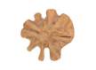 Tronco Decoracion de Pared Madera de Teca Serie Argiot