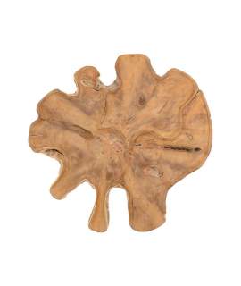 Tronco Decoracion de Pared Madera de Teca Serie Argiot