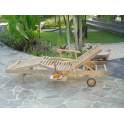 Tumbona Jardin Teka Articulada con Brazos Serie Acuateak