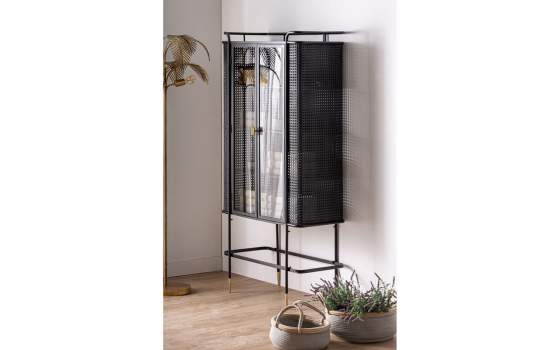 Vitrina Acero Moderna 2 Puertas Acristaladas Serie Fussen