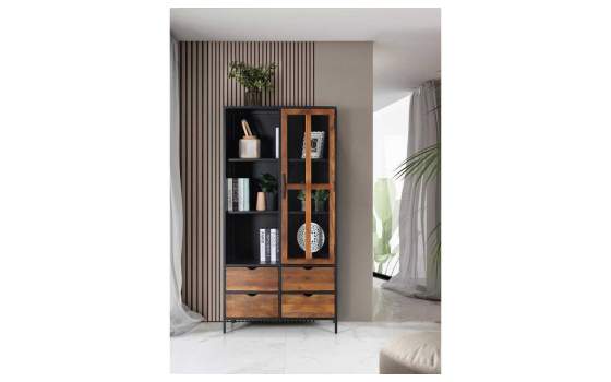 Vitrina Industrial 1 Puerta 4 Cajones Serie Adeinas