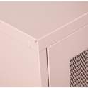 Vitrina Metalica 2 Puertas Rejilla Rosa con Estantes Akijar
